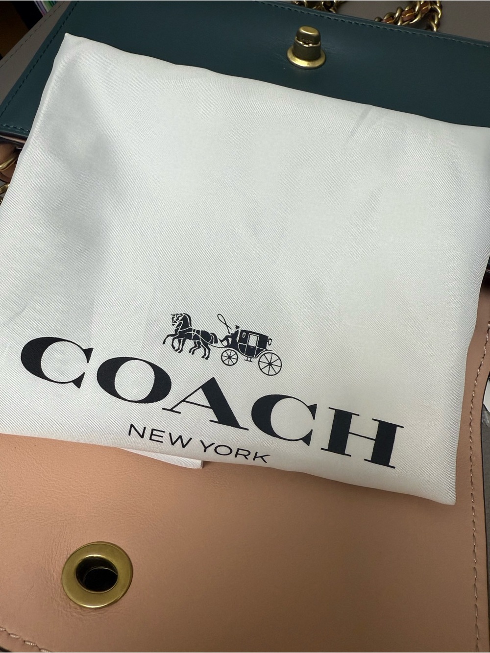 RARE Coach x Chelsea Teal Champlain Tattoo Dinky Crossbody Bag- W Bag - Picture 14 of 16